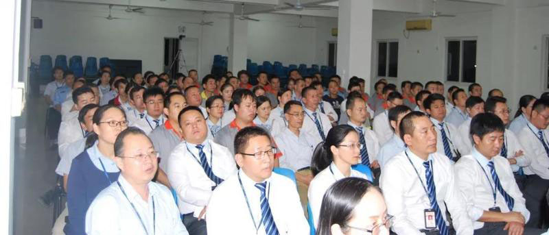 深圳大陽集團(tuán)流程E化、智能決策BI”智造信息化“案例